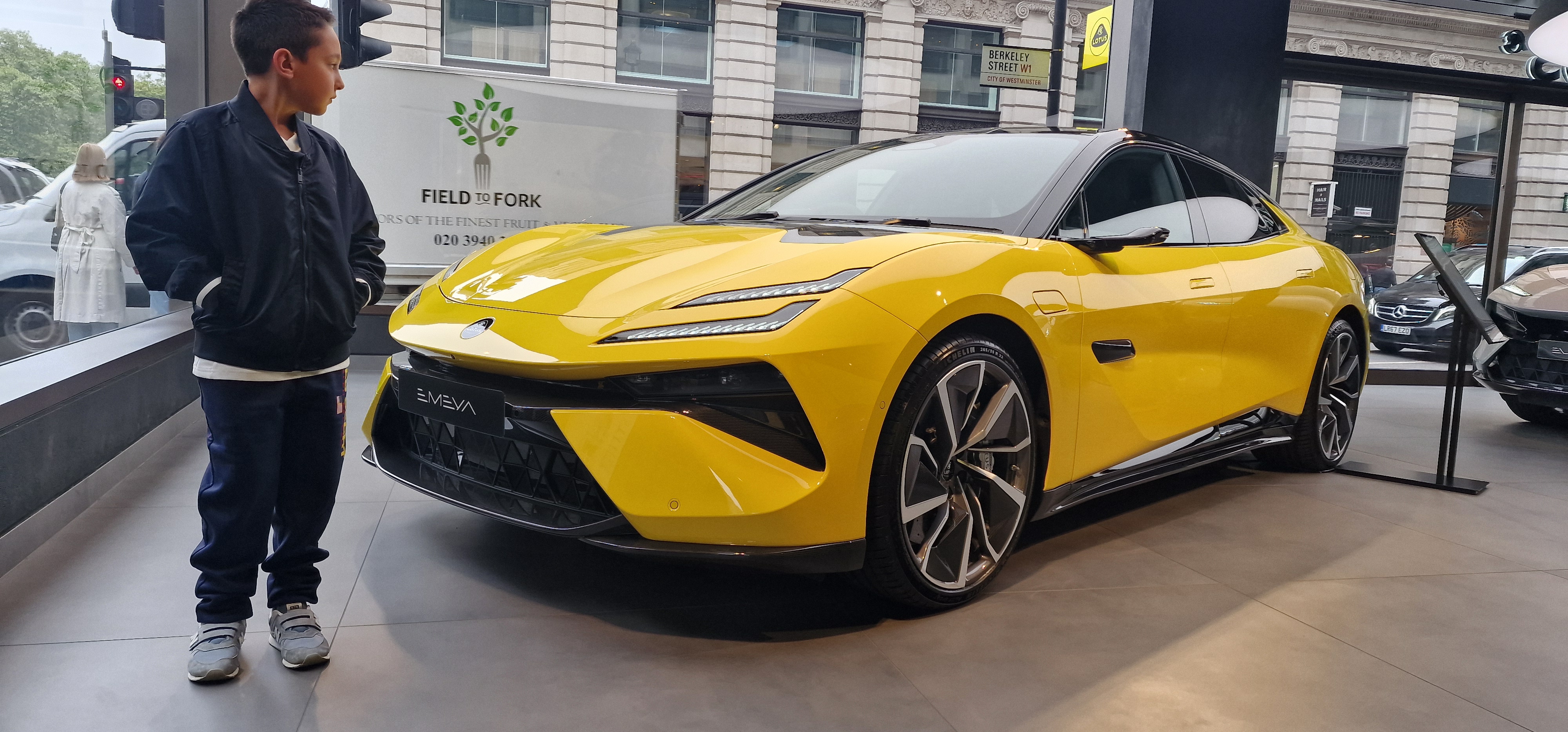 Lotus Emeya amarillo